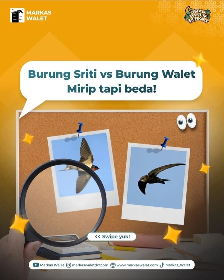 WhatsApp Image 2023-04-14 at 13.46.50